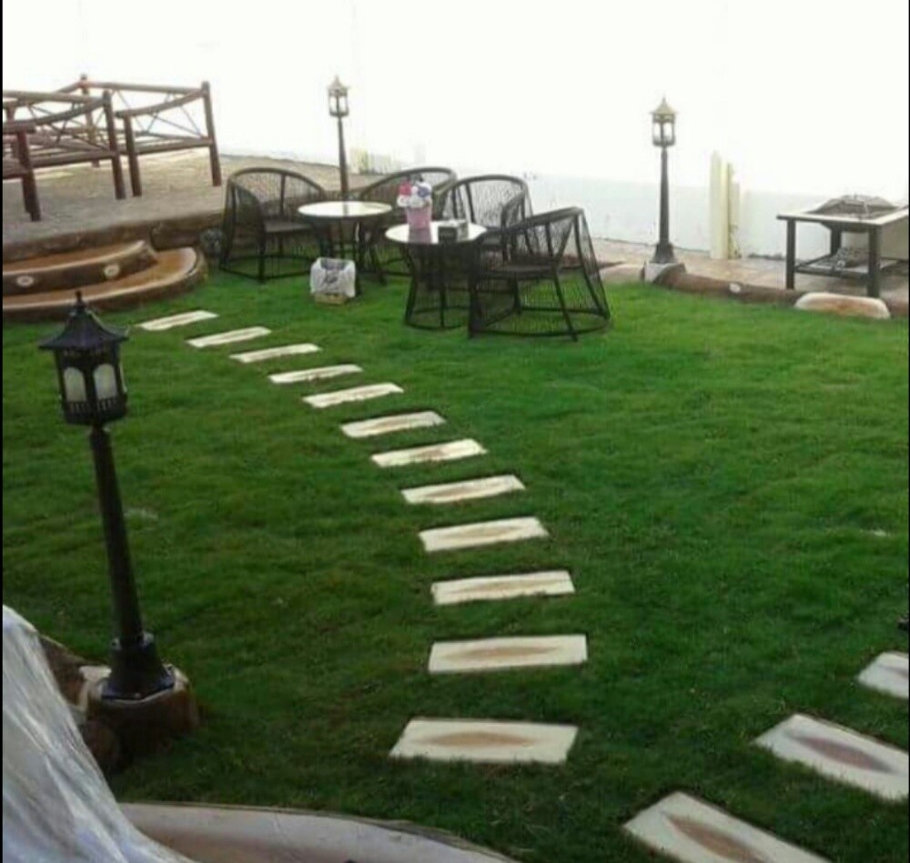كل ما يتعلق بالزراعة والديكور - 7