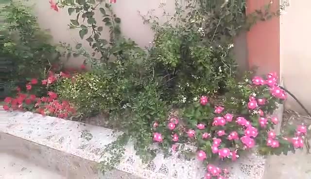 مزارع - 1