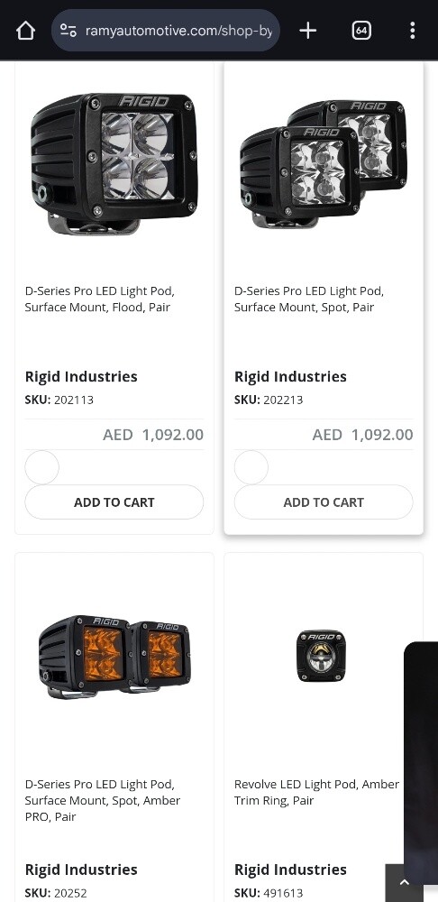 RIGID D-SERIES FLOOD LIGHT - 7