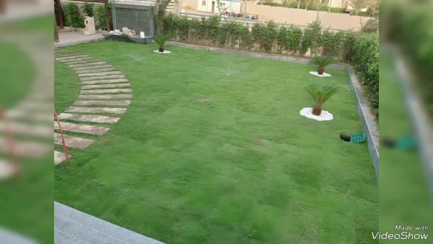 زراع - 1