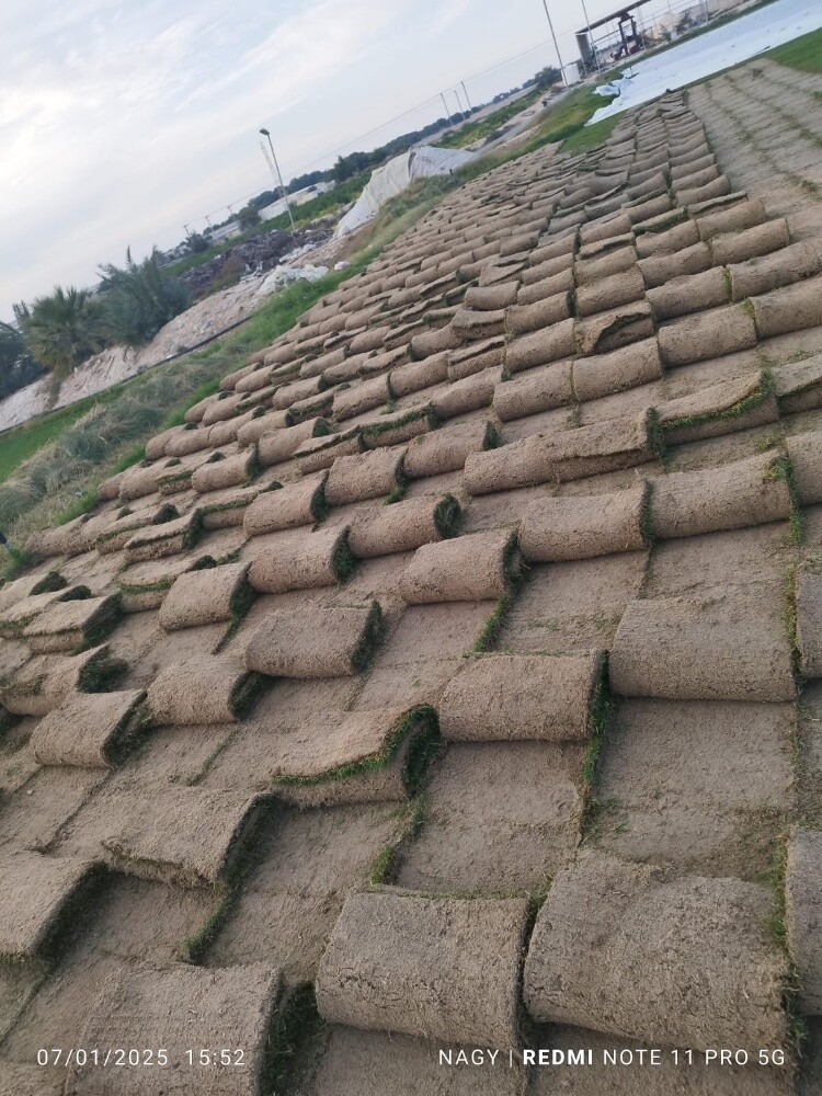 مزارع - 4