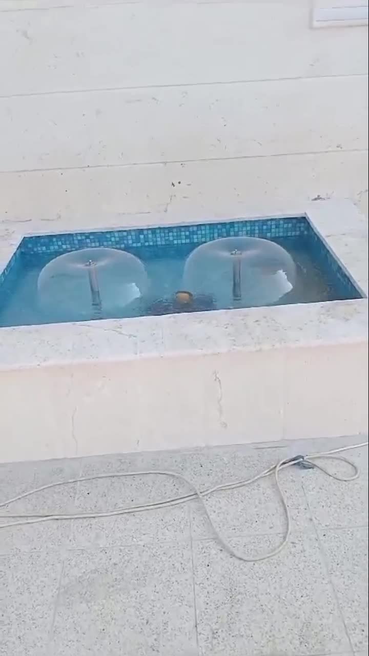 ديكورات - 2