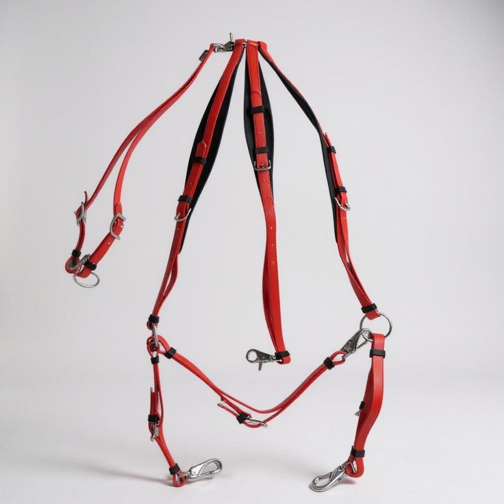 الاصايل ل مستلزمات الخيل - 11