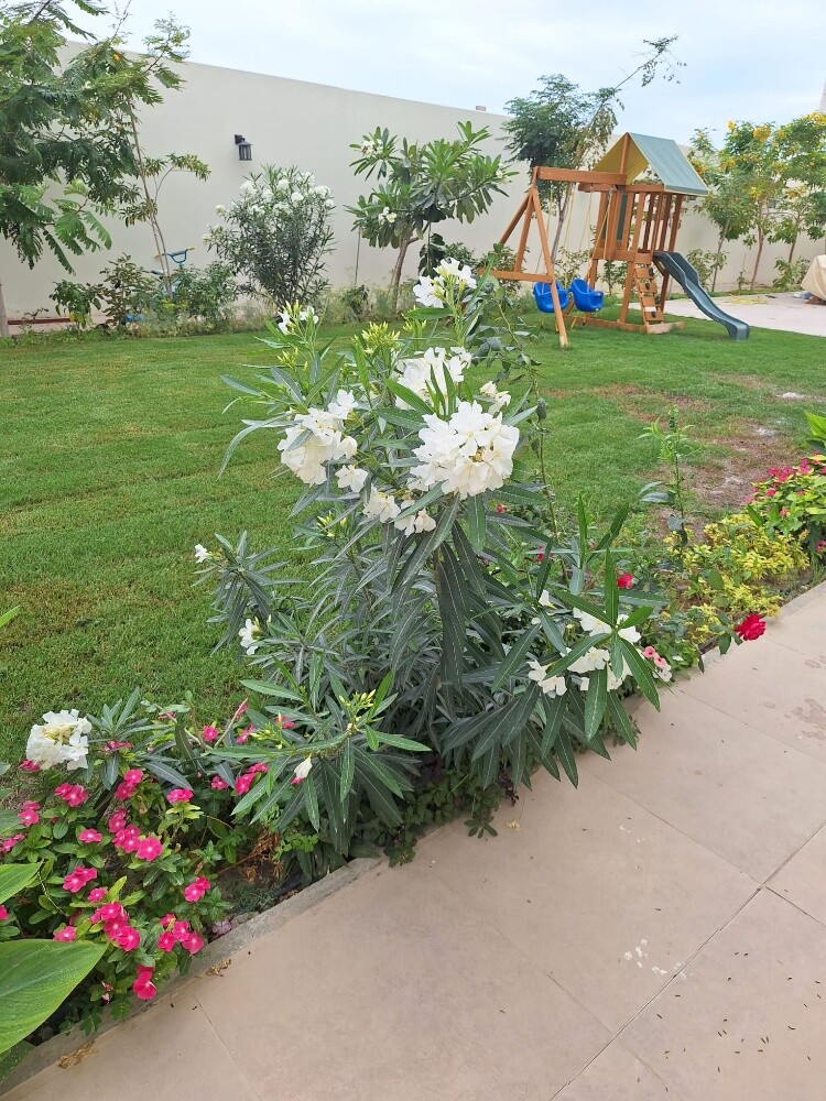 مزارع - 15