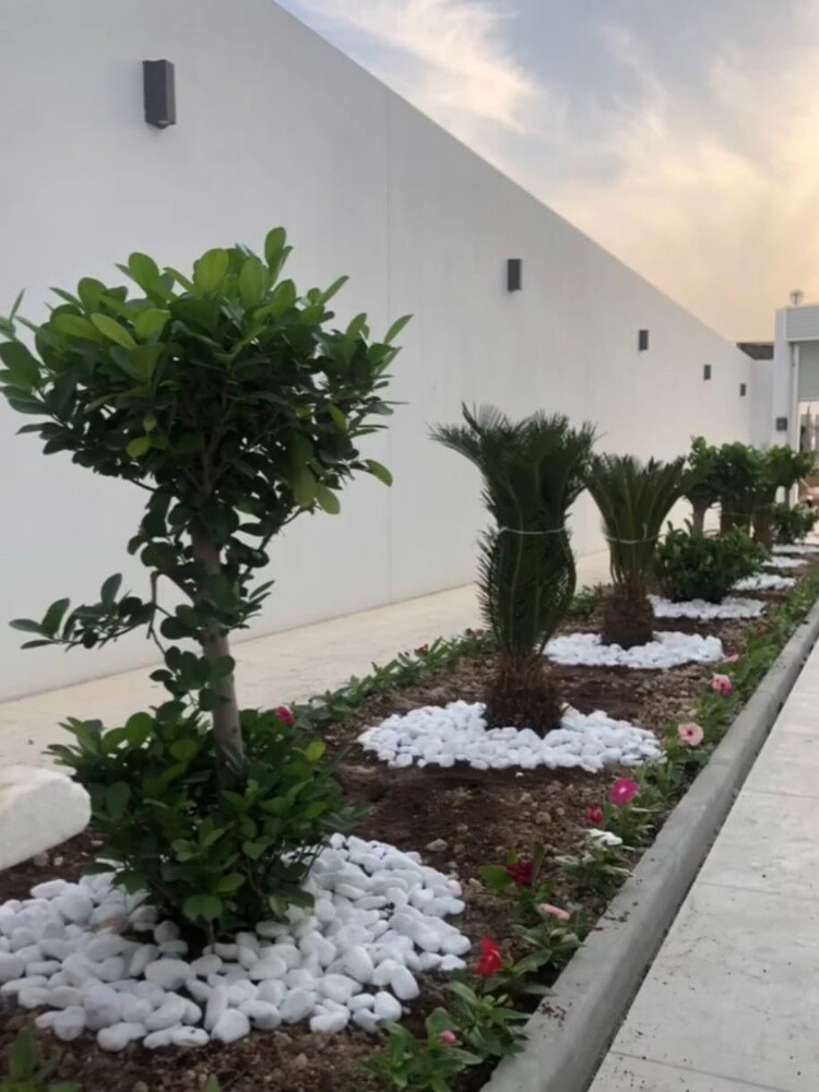 مزارع - 18