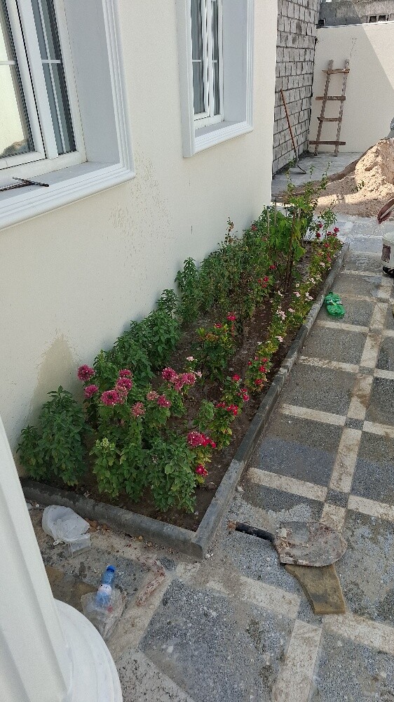 مزارع - 10