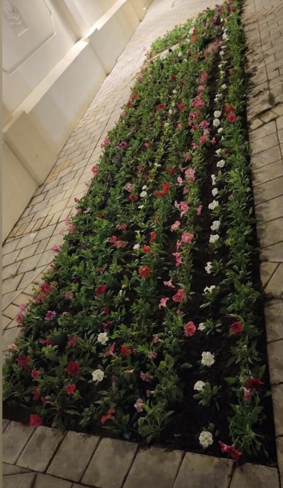 مزارع - 4