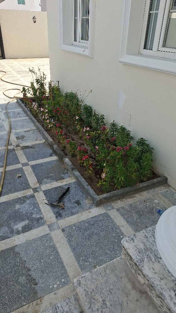 مزارع - 9
