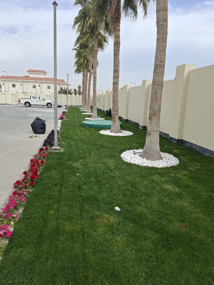 زراع - 6