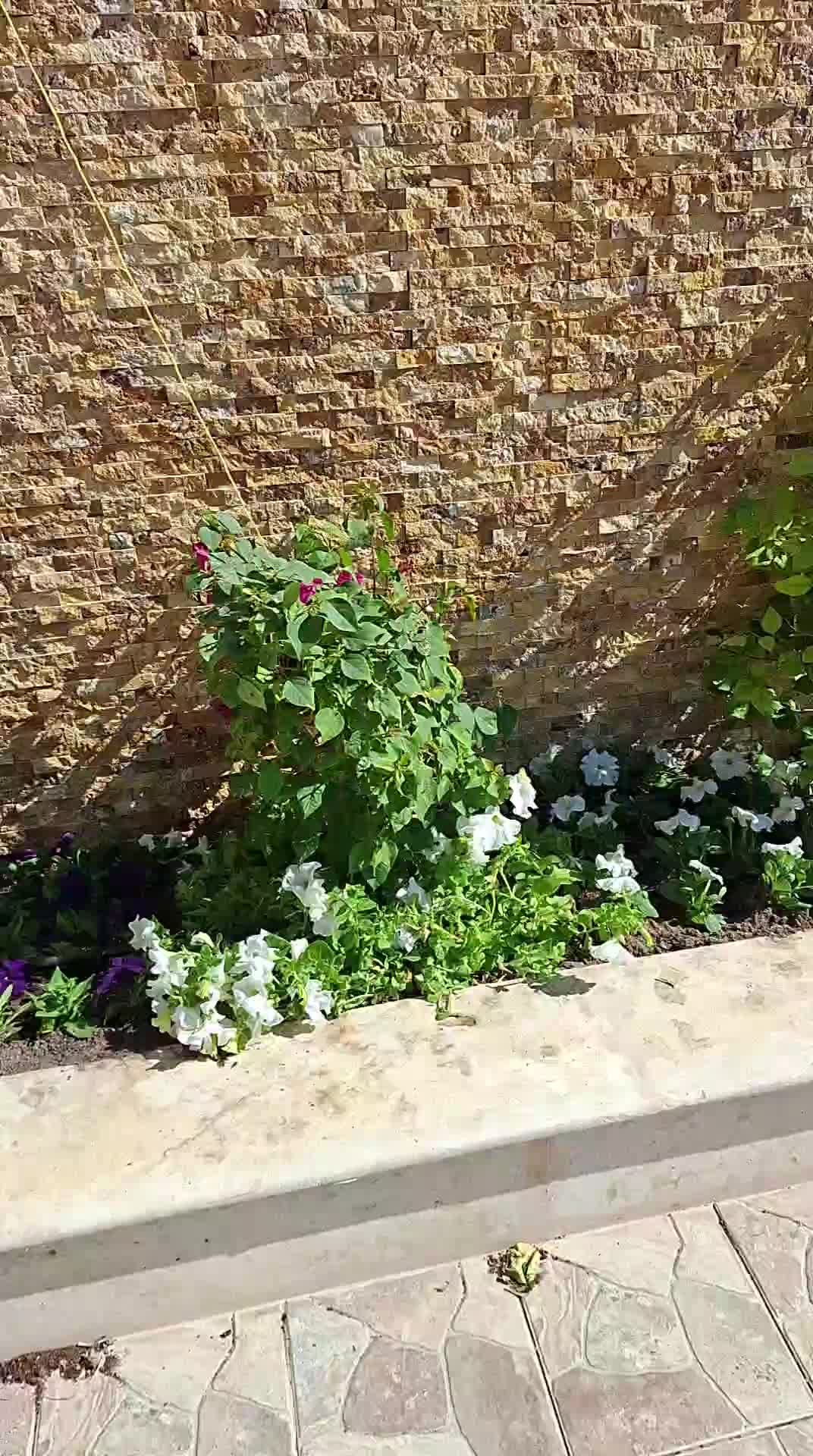 مزارع - 1