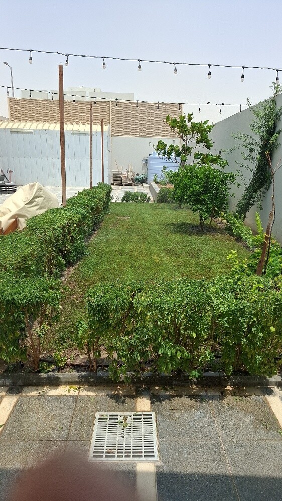زراع - 3