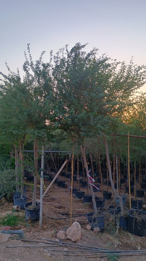 مزارع - 10