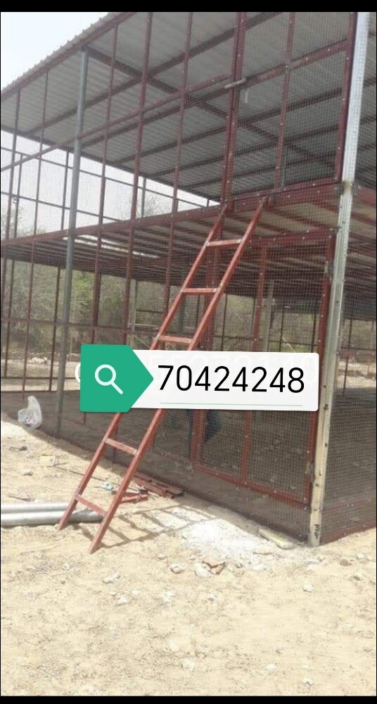 طبلات مجلد صفراء - 5