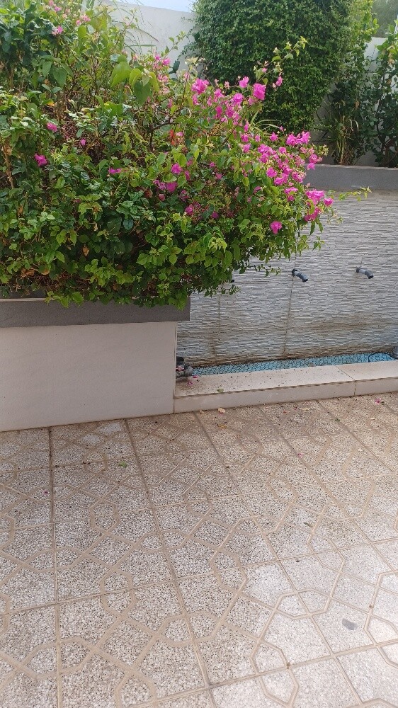 مزارع - 12