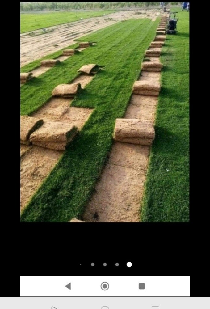 تنسيق الحدائق - 8