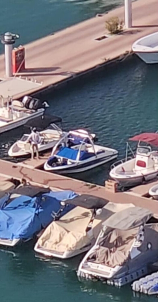 bayliner  - 2