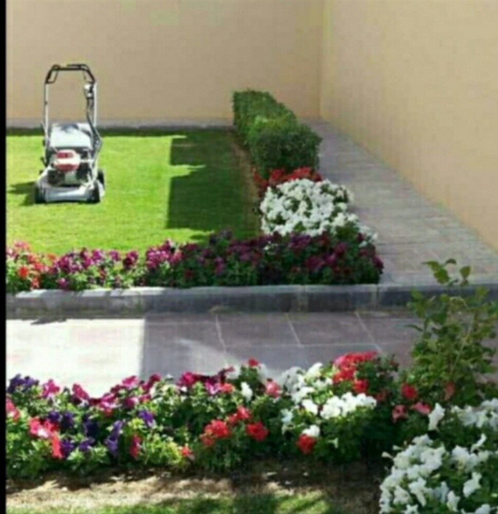 تنسيق الحدائق - 1