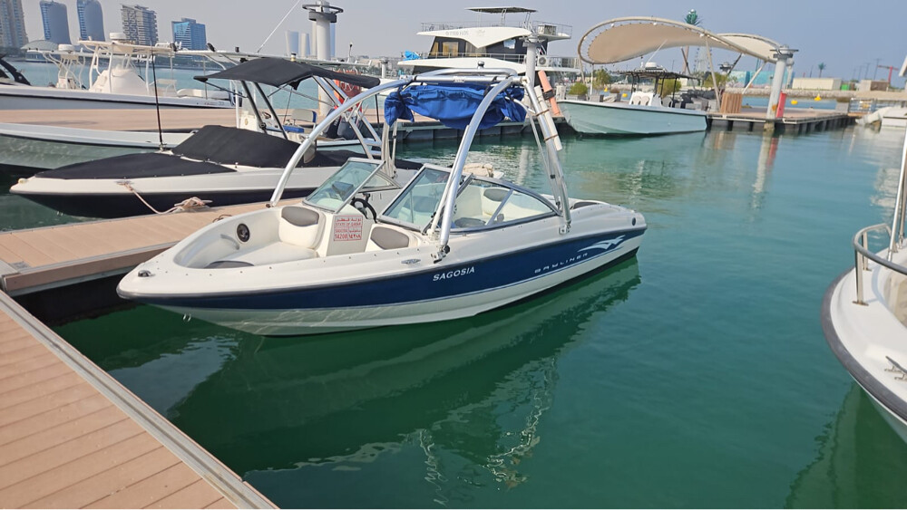 bayliner  - 3