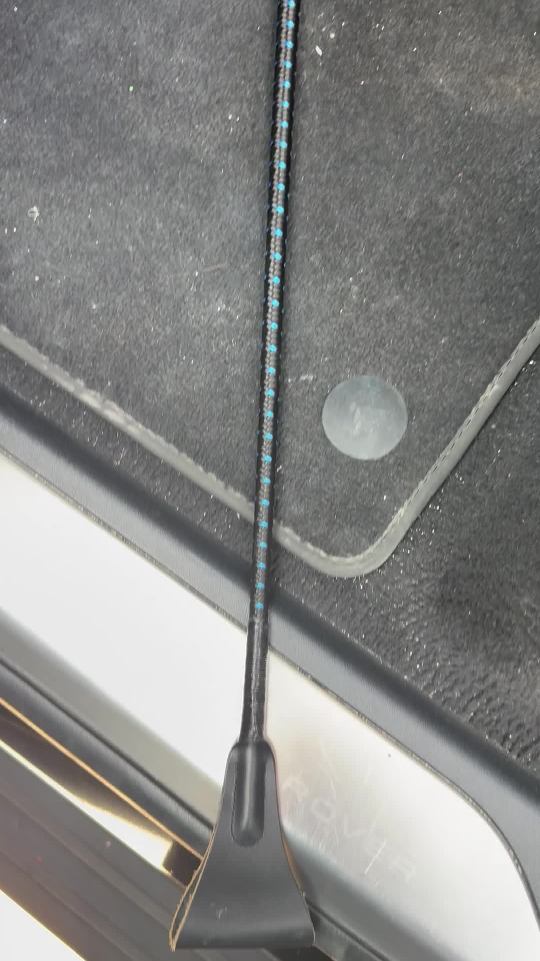 horse whip  - 1