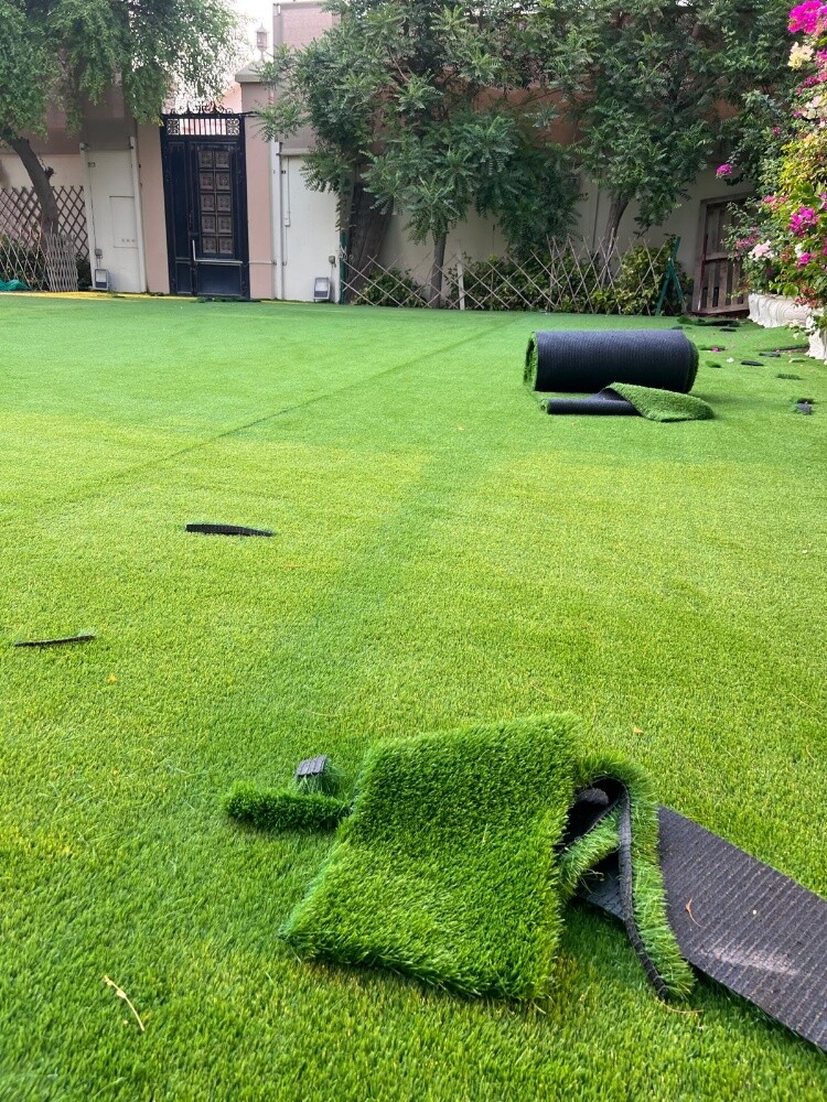 grass carpet - 2