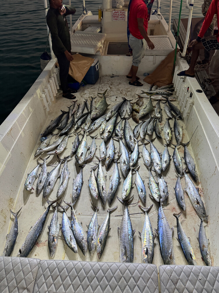 Fishing trips with professional Cap - 4