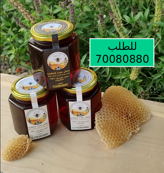 Qatari Sidr Honey half kilo - 2