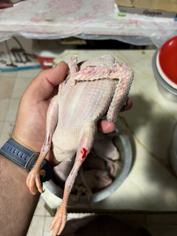 فروخ لاحم و زواجل سمان فل شحم - 3