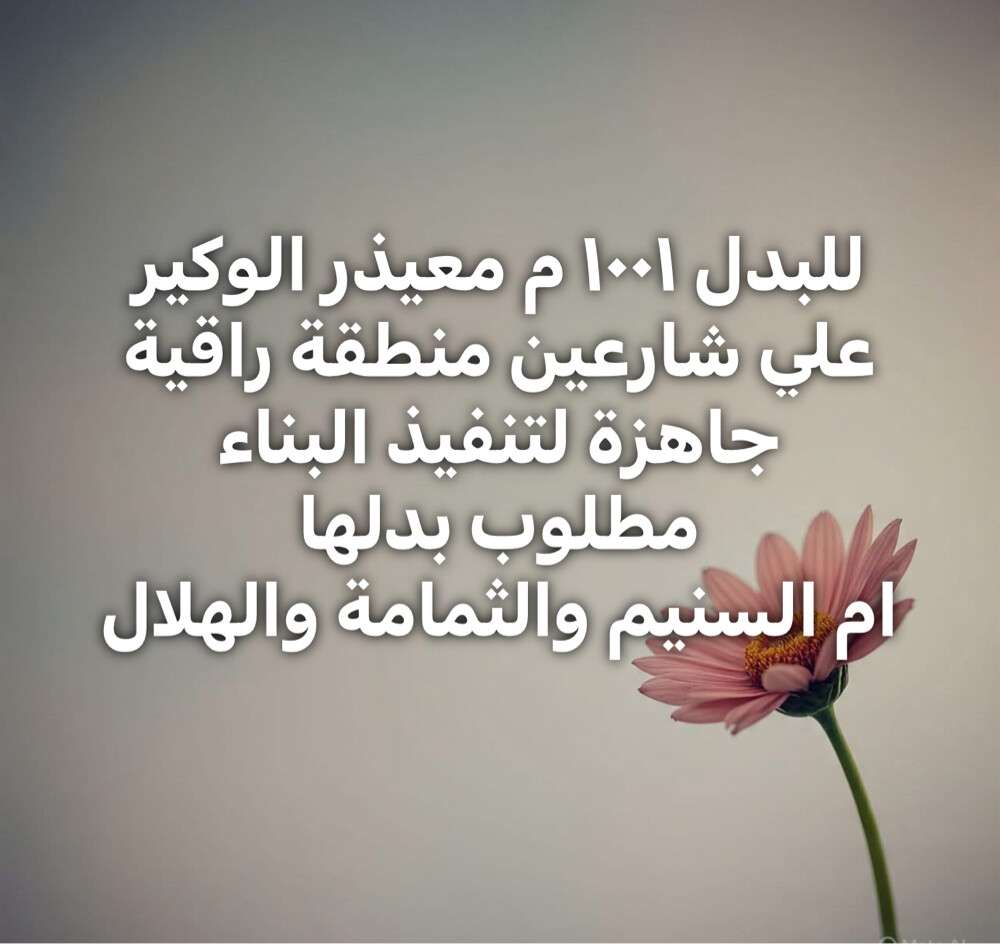 ارض بالوكير جاهزة للبناءع شارعين - 1