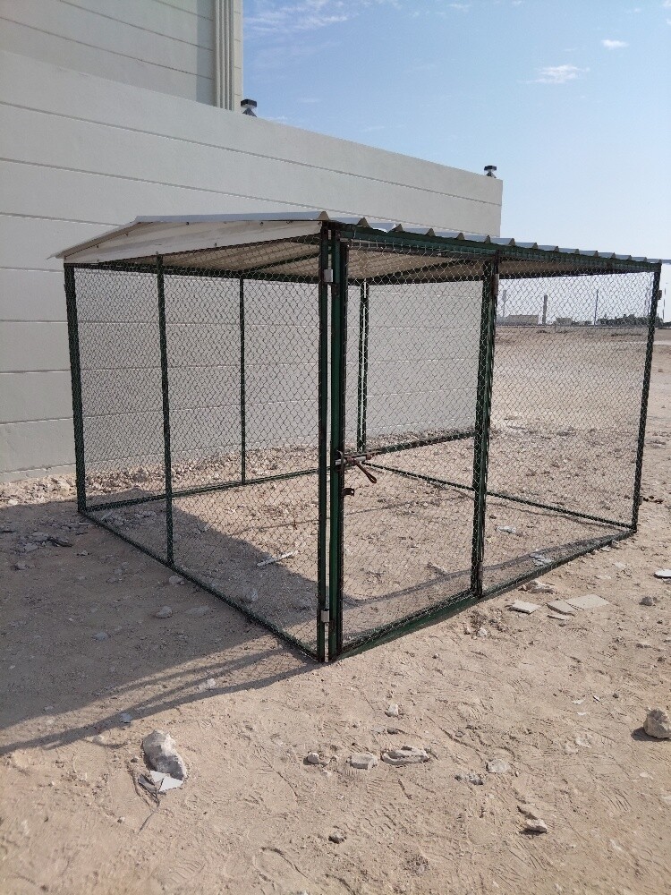 ٣/٣=اقغص - 2