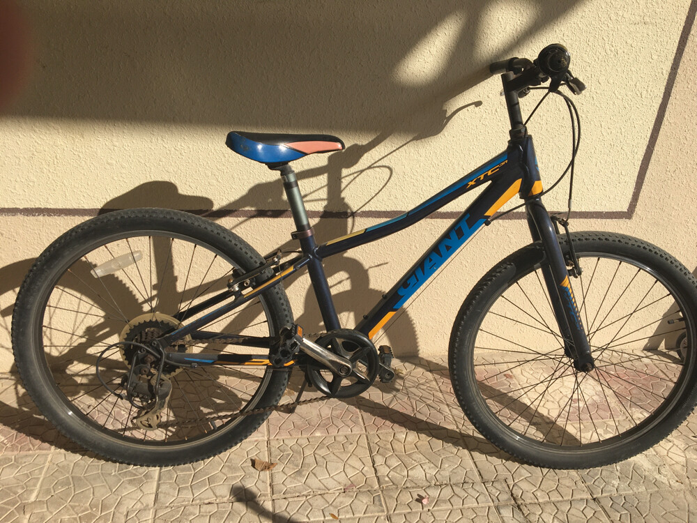 Giant XTC Jr 24 Lite - 1
