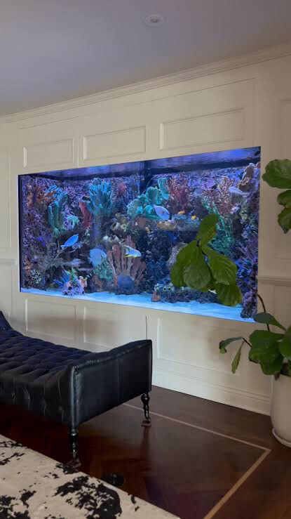 custom aquarium building - 4