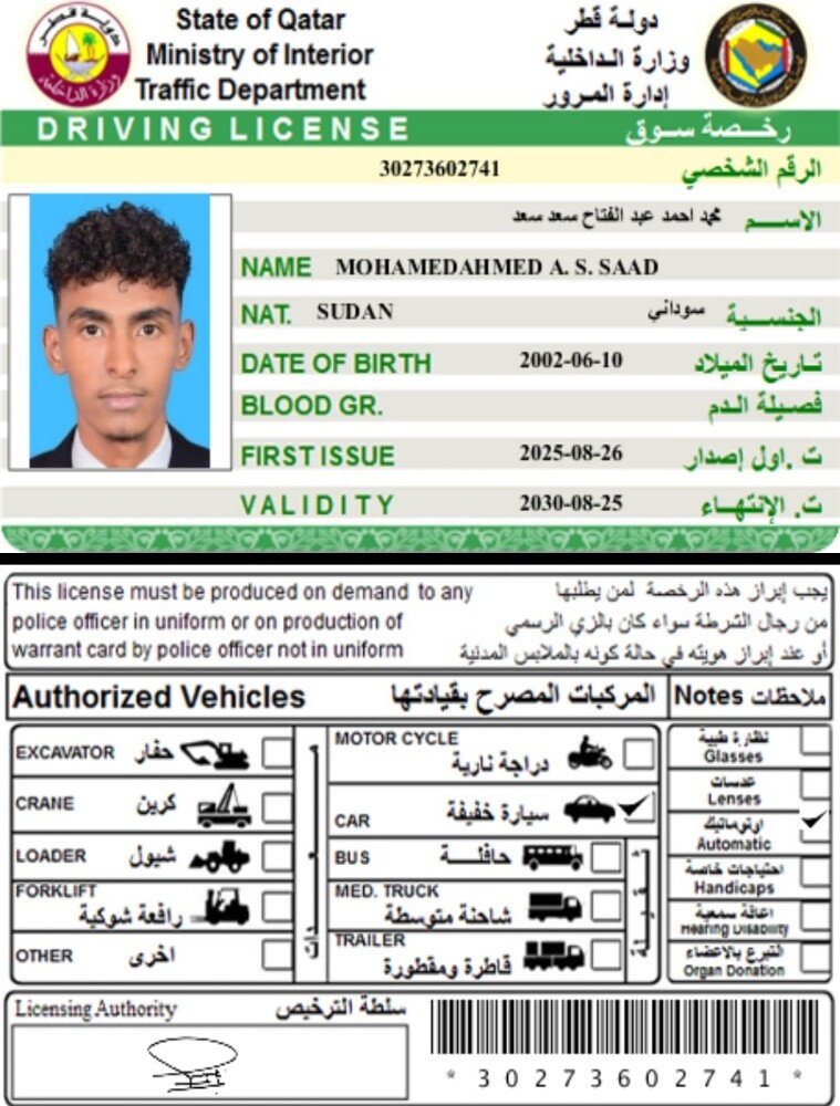 MOHAMED AHMED ABDALFATAH - 1