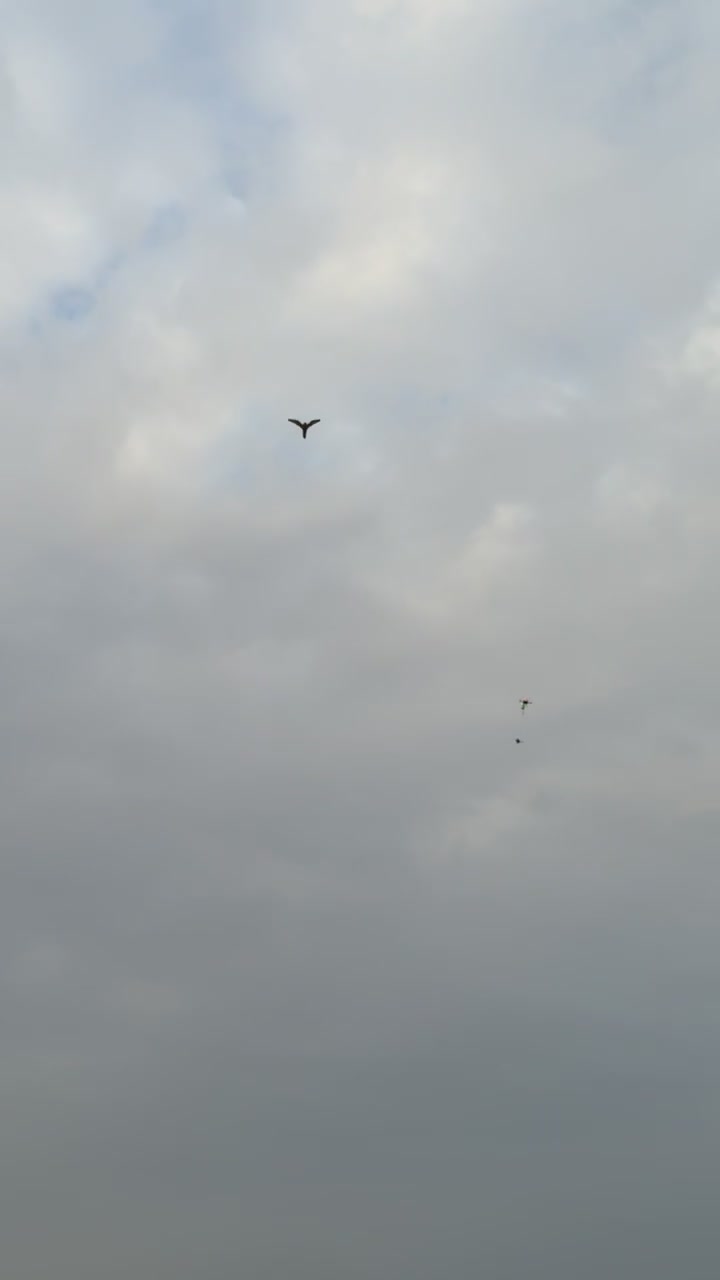 حر من حر سنه فرخ - 3