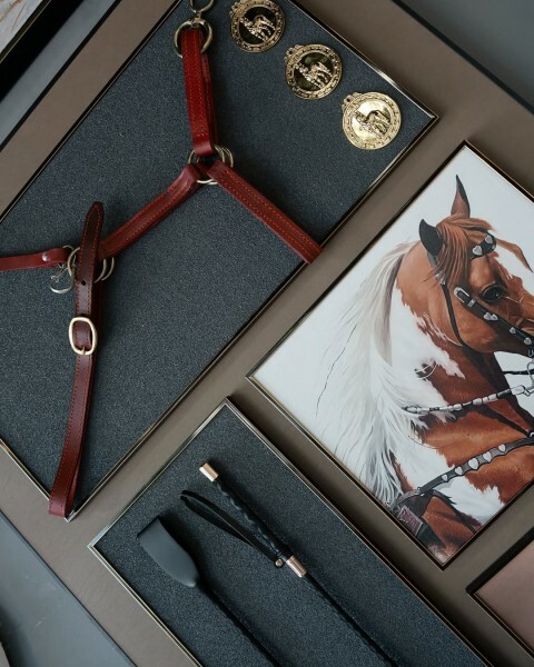 Equestrian wall frame - 2