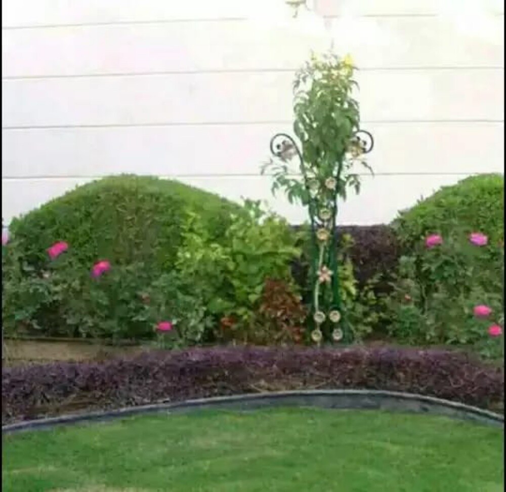 مزارع ومنسق حدائق - 5