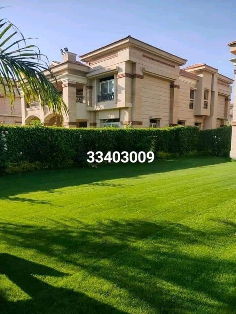 تركيب وتنظيف وبيع النخل - 13