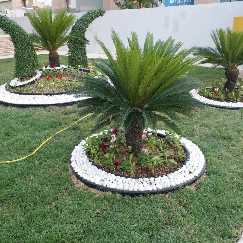 لعمل أروع الحدائق - 2