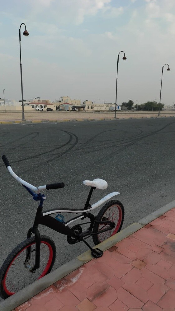 كوبرا - 3