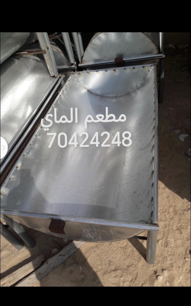 طبلات صفراء عمود شعي مطعم حشيش شي - 8