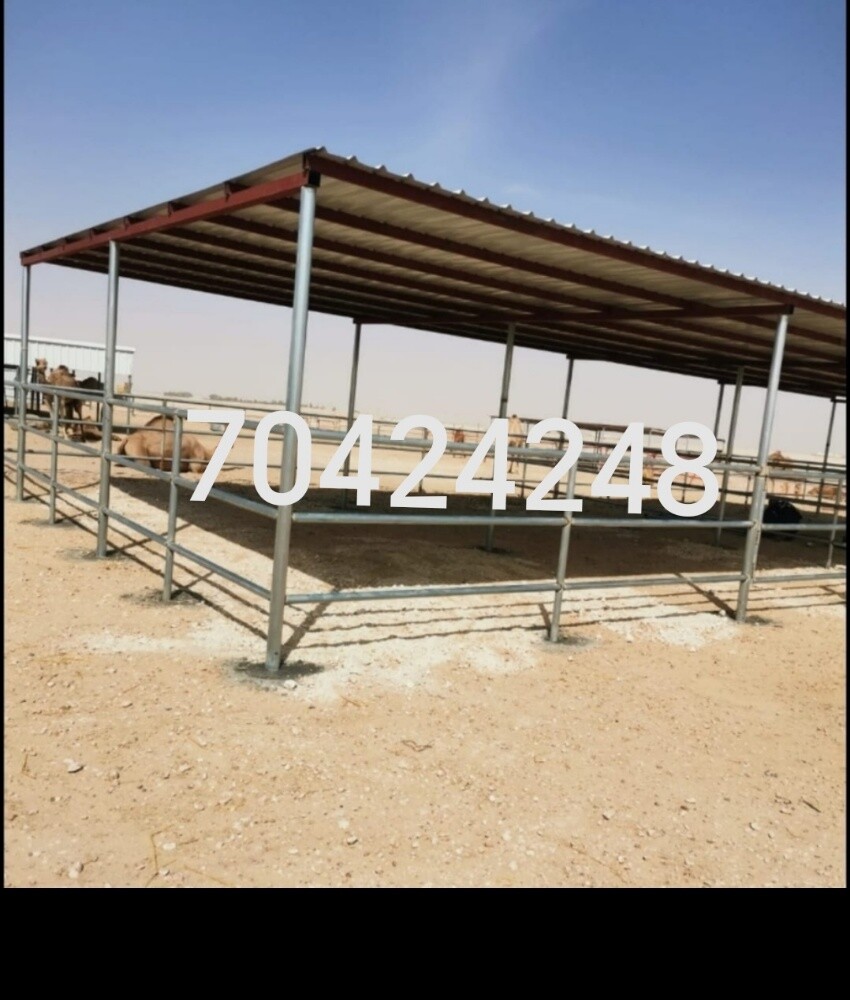 طبلات صفراء عمود شعي مطعم حشيش شي - 3