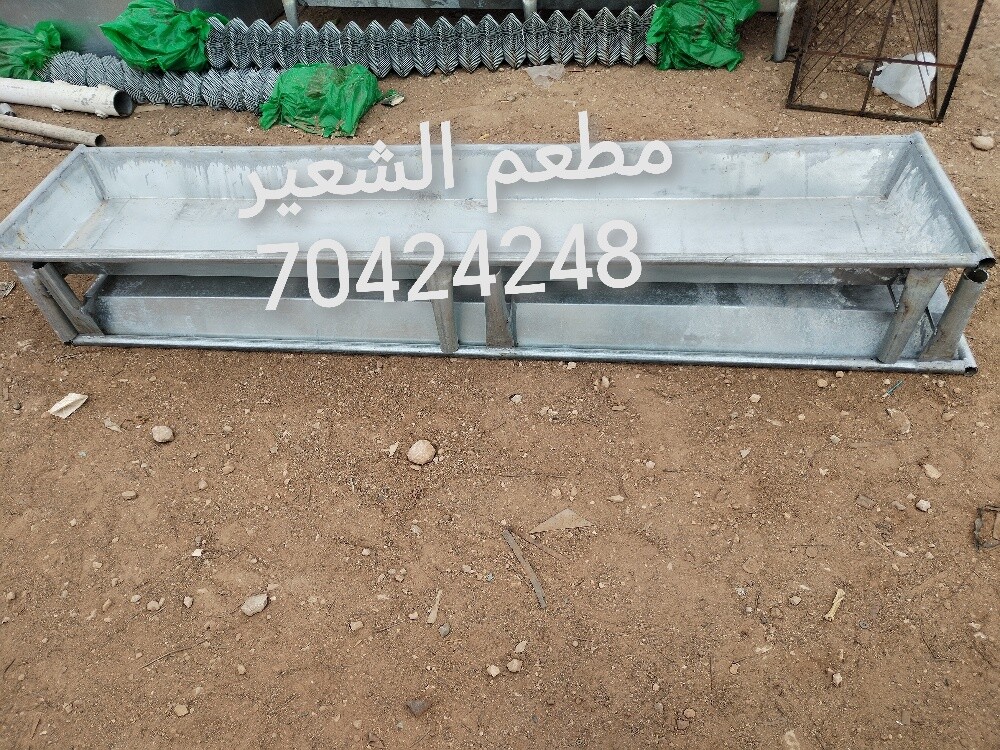 طبلات صفراء عمود شعي مطعم حشيش شي - 9