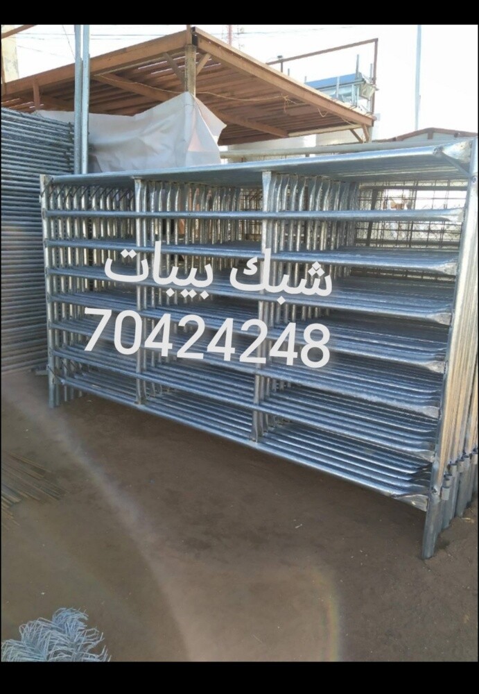 طبلات صفراء عمود شعي مطعم حشيش شي - 10