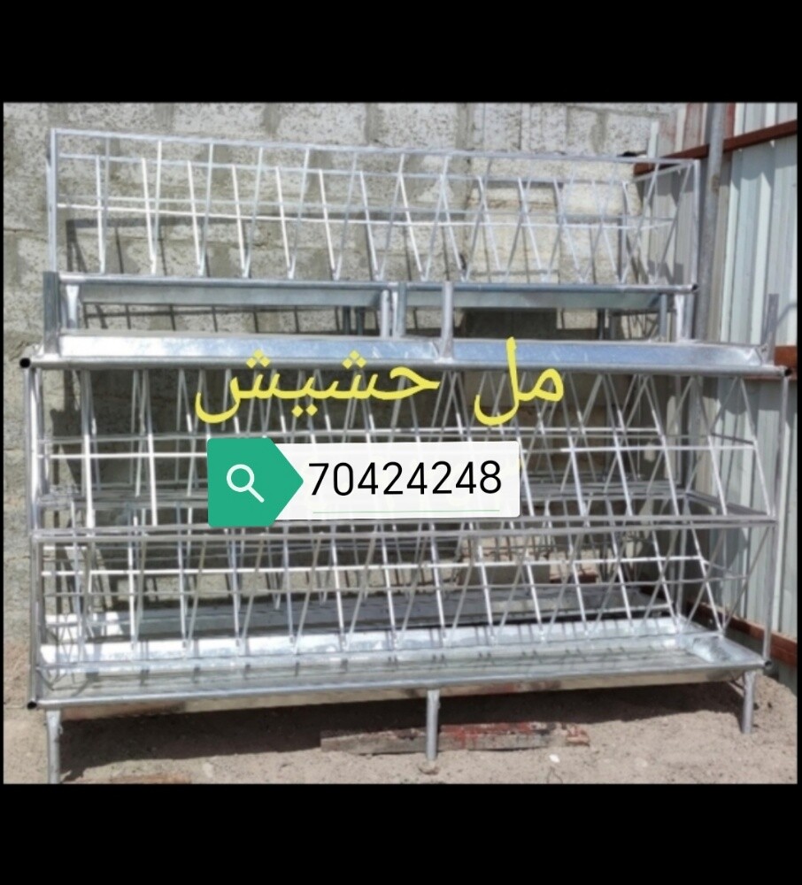 طبلات صفراء عمود شعي مطعم حشيش شي - 7