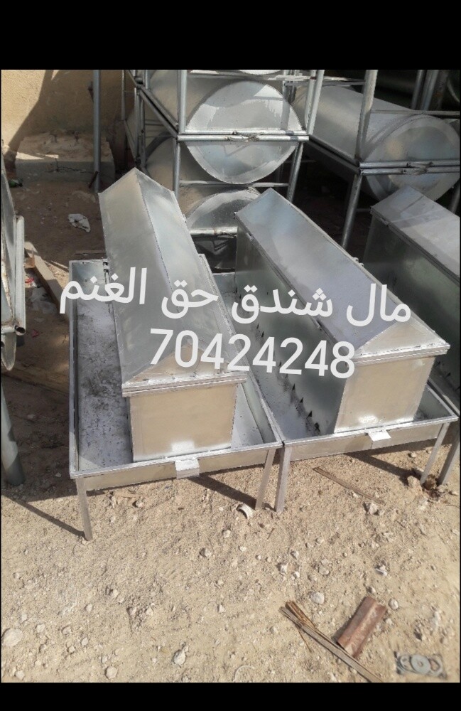 طبلات صفراء عمود شعي مطعم حشيش شي - 5