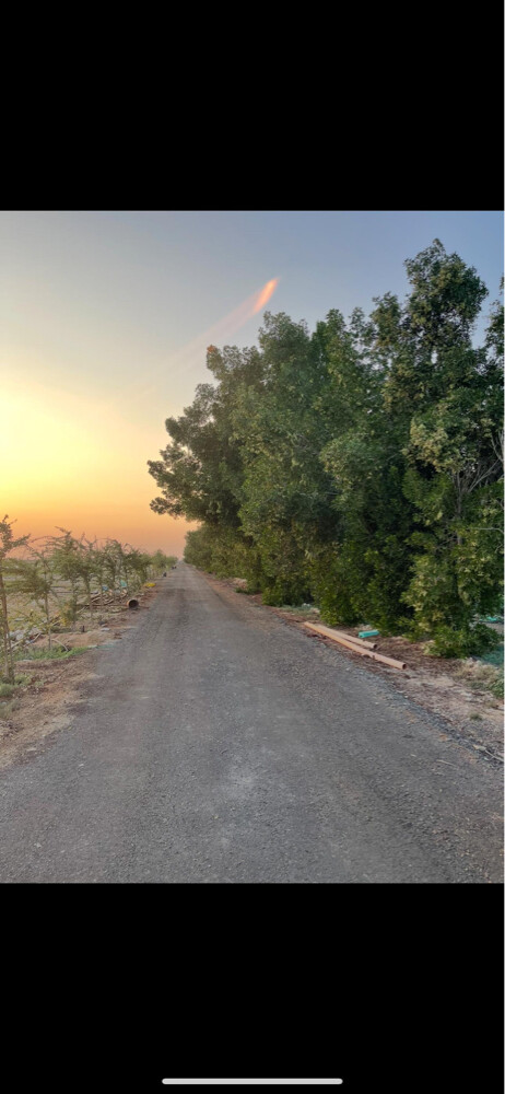 للبيع مزرعة في سمسمة - 2
