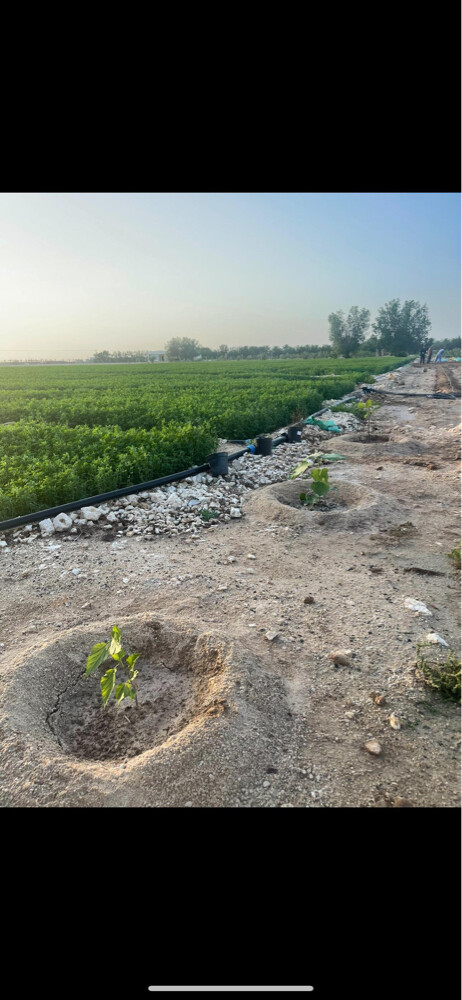 للبيع مزرعة في سمسمة - 3