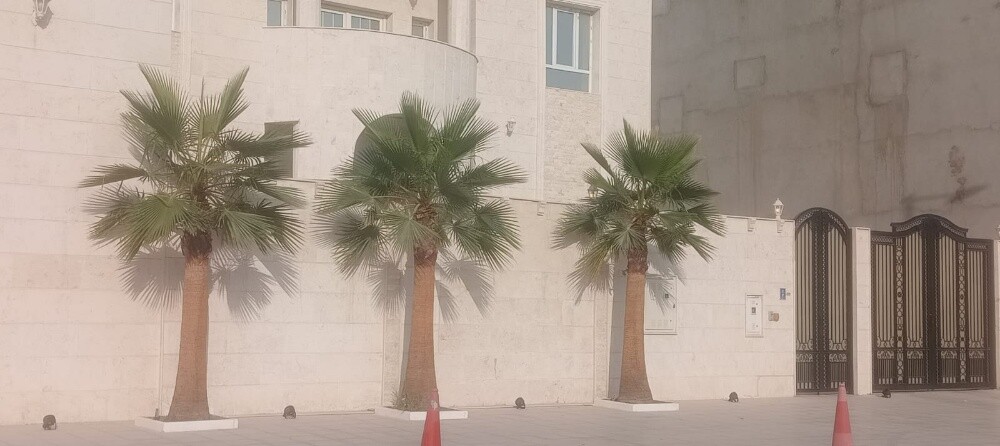 منسق حدائق جميله 55079950 - 3