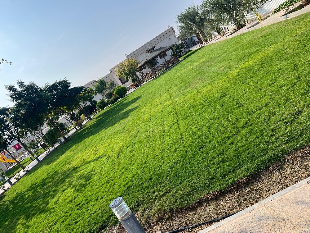 صيانة وترتيب الحدائق - 1