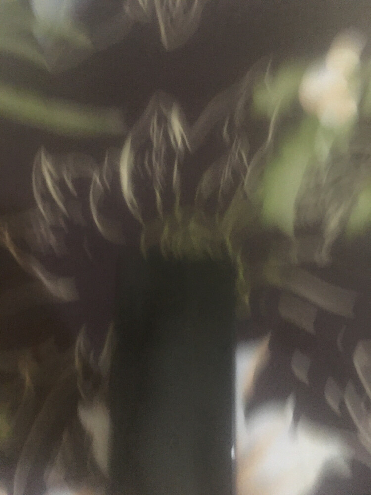 رايدمي ٥ جي - 1