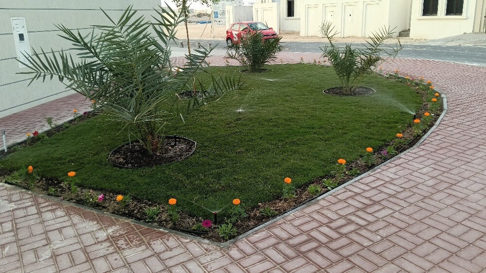 زراعة حدائق - 1